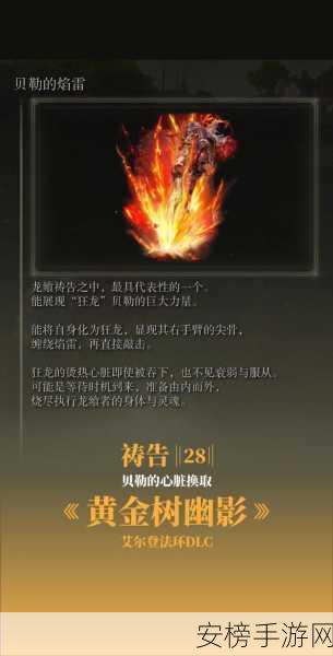 艾尔登法环黄金树之影 DLC 追忆文本大揭秘