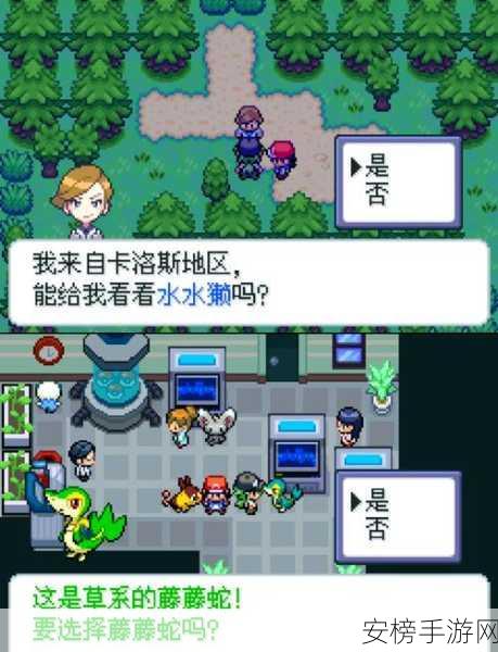 PokeMMO新手全攻略，从零开始的宝可梦大师之旅