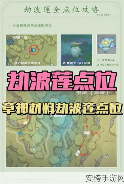 原神玩家必看！揭秘劫波莲高效采集路线，速通攻略大放送