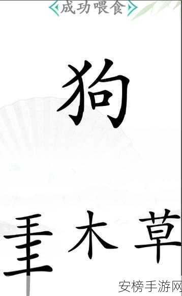 汉字找茬王，治愈感冒秘籍大揭秘，轻松通关不是梦