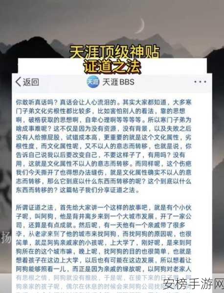 长生诀深度攻略，解锁永恒之路的修行秘籍与竞技细节