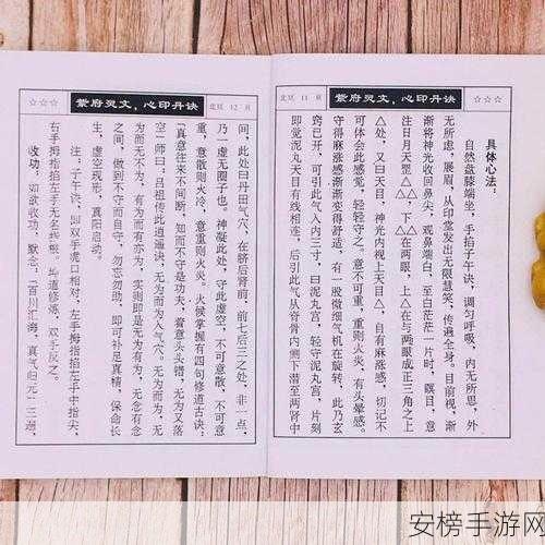 长生诀深度攻略，解锁永恒之路的修行秘籍与竞技细节