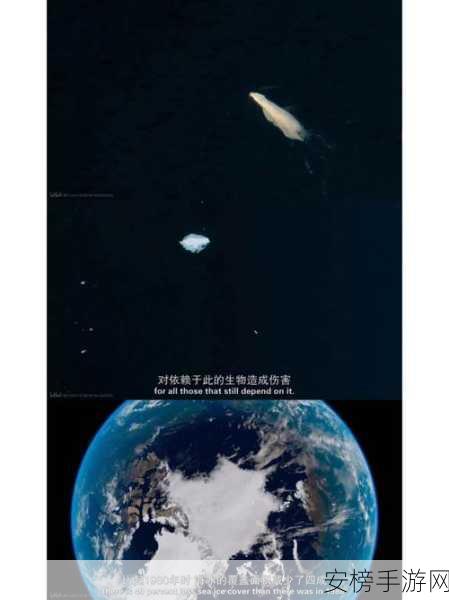 创造吧我们的星球测试服，大漠迅鹰获取秘籍大公开