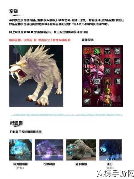 魔兽世界怀旧服，碎裂白骨战斧深度解析