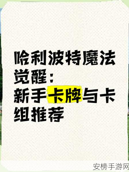 哈利波特魔法觉醒，海格石墩卡组致胜秘籍，5000 分轻松拿下！