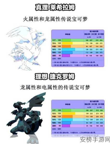 宝可梦大探险，探秘小火龙的强大魅力——属性技能全解析