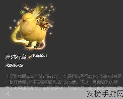 FF14 必知，猫大胖坐骑的获取秘籍