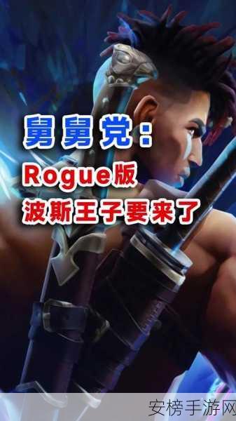 波斯王子 Rogue 畅玩秘籍，战斗操作全解析