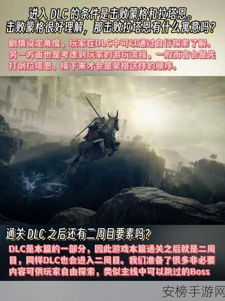 艾尔登法环 DLC 黄金树幽影抉择指南