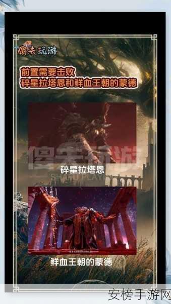 艾尔登法环黄金树之影 DLC 制作材料全攻略