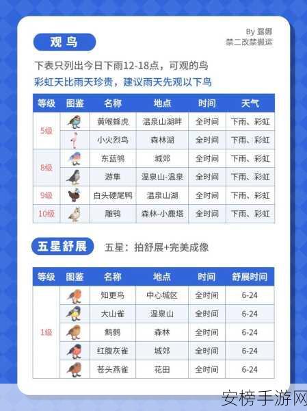 雨世界畅玩秘籍，全方位操作指南大揭秘