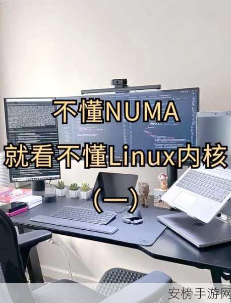 微软云新纪元，CBL-Mariner Linux平台揭秘，重塑云基础设施生态