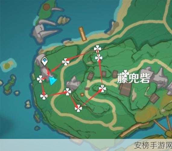 原神御伽木采集大赛，全面攻略助你赢在起跑线