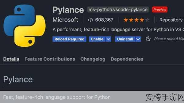 Pylance震撼登场，革新Python手游开发效率的神兵利器