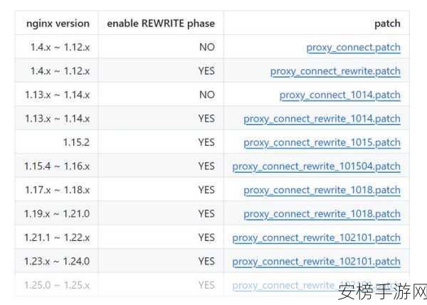 手游开发者必看，Nginx正向代理HTTPS网站实战技巧揭秘