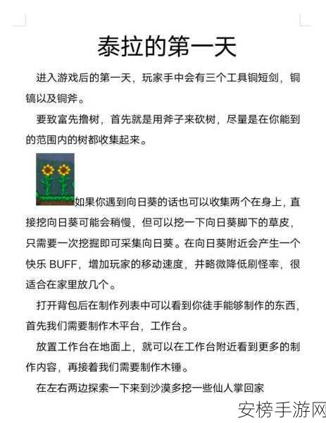 泰拉瑞亚肉山后冒险指南，解锁新挑战，让你的游戏之旅焕发新生！