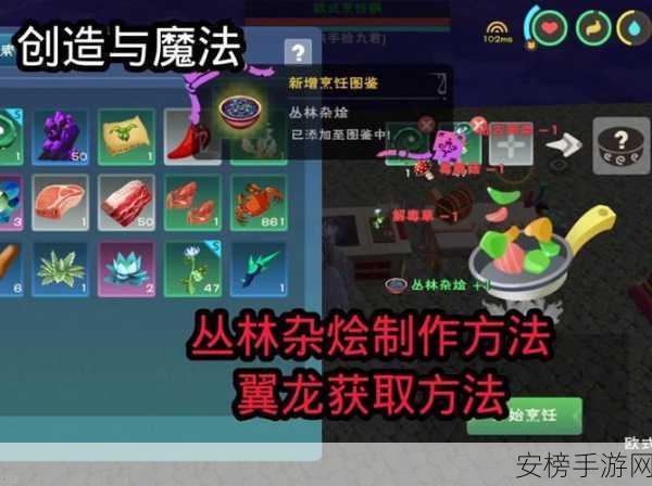 魔法世界新纪元，深入剖析创造与魔法坐骑等级与竞技奥秘