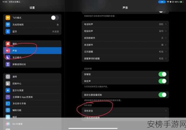 苹果手机和平精英麦克风权限开启攻略，畅享游戏语音交流