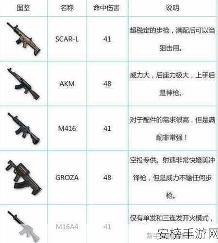 弹弹堂手游，揭秘武器抽取技巧与极武器获取攻略