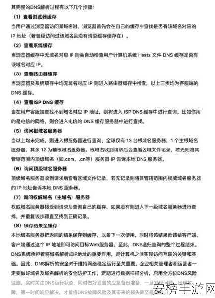 手游开发者必看，揭秘高并发DNS枚举如何助力域名收集大赛