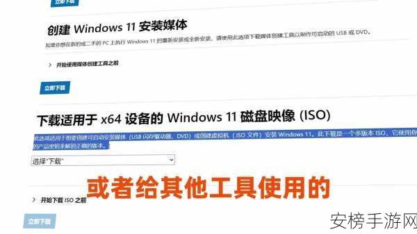 NSIS开源神器揭秘，打造个性化Windows安装程序的实战指南