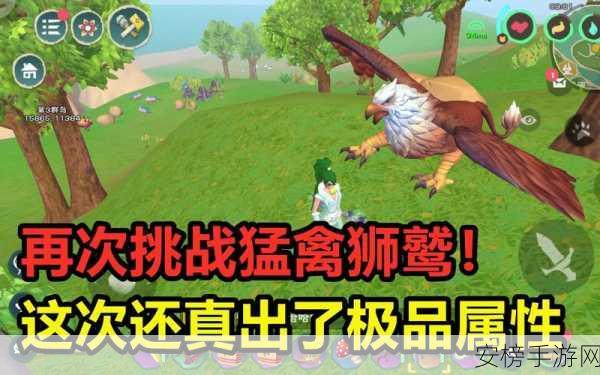 探秘创造与魔法，狮鹫出没的神秘之地全揭秘