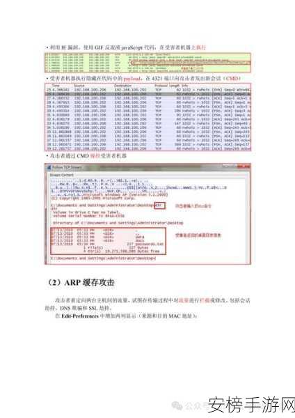 Ethereal华丽蜕变，Wireshark深度解析与手游网络优化实战