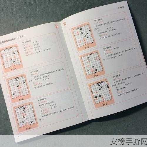 象棋大师秘籍，揭秘棋盘上的智勇对决与夺冠策略