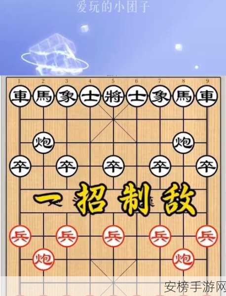 象棋大师秘籍，揭秘棋盘上的智勇对决与夺冠策略