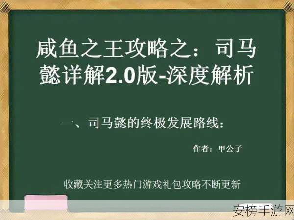 咸鱼之王司马懿主C深度攻略，解锁最强战术与比赛细节