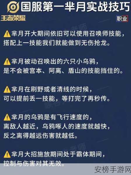 王者荣耀芈月深度解析，技能详解与实战应用