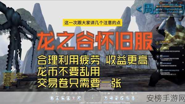 龙之谷加点器深度解析，助力玩家精准分配属性，称霸游戏世界