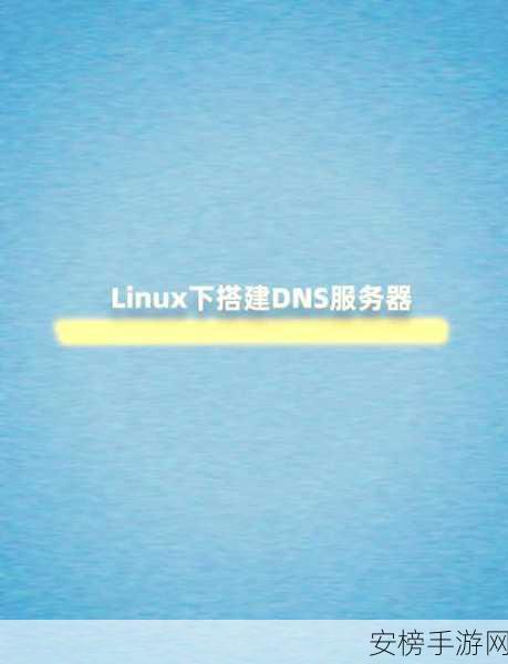 手游开发者必备，揭秘Linux网络配置神器dhclient如何助力手游研发