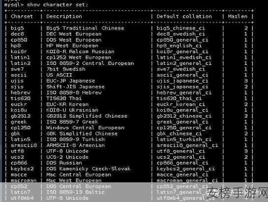 手游开发者必看，MySQL数据库字符集选择如何影响游戏运营与用户体验
