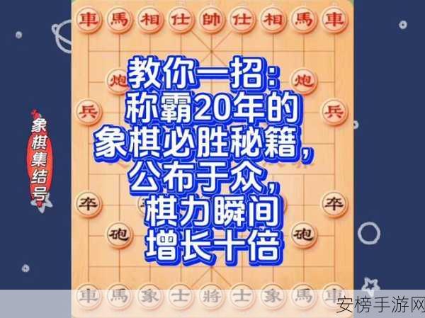 象棋高手养成计划，揭秘顶级赛事制胜策略与技巧