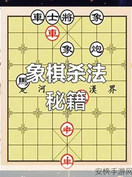 象棋高手养成计划，揭秘顶级赛事制胜策略与技巧