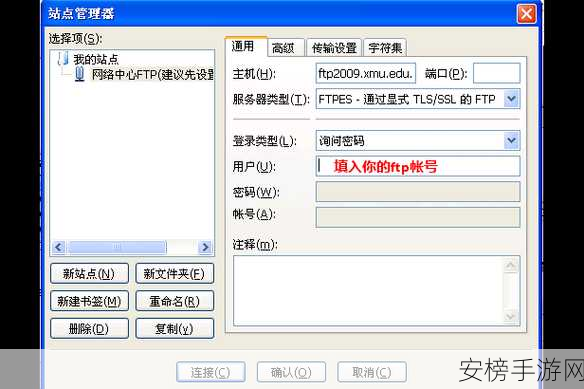 FireFTP深度解析，Firefox浏览器中的FTP神器，跨平台操作全揭秘