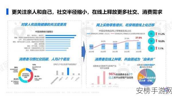 Nitter开源项目大揭秘，隐私保护新卫士，重塑社交媒体安全格局