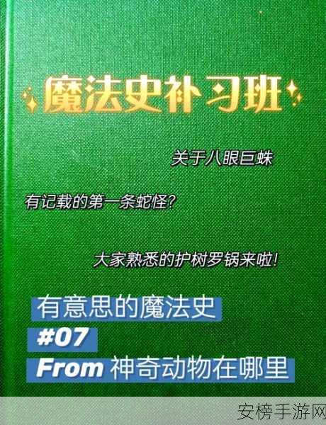 揭秘魔法世界新篇章，鸡毛丰饶之地的创造大赛盛况