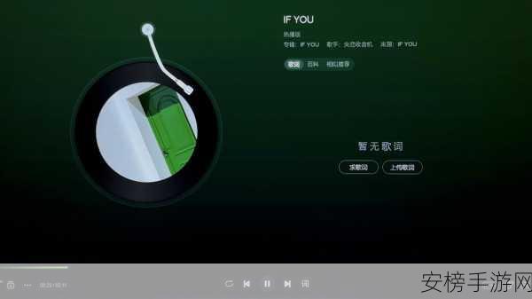 YouAmp音乐播放器，重塑手游音乐体验的创新之作