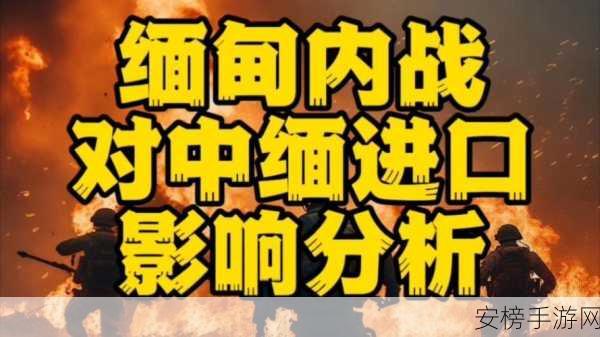 缅甸恐怖网站www：探索缅甸恐怖网站的背后真相与影响分析