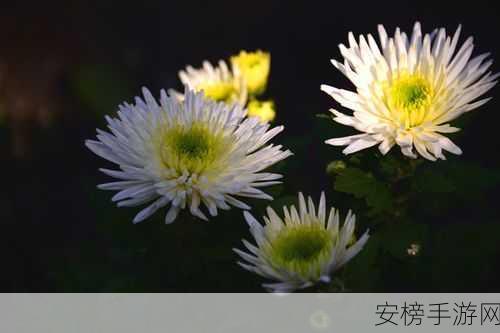 答错一题菊花一插一支笔：错题惹祸，菊花一插笔直立，书写新篇章。