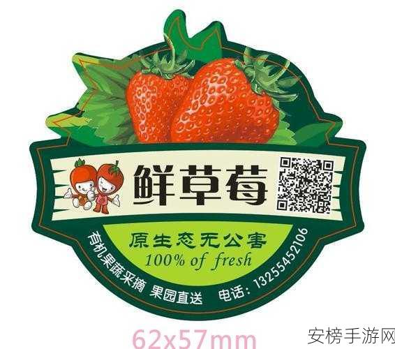 草莓视频在线二维码迅雷下载：草莓影视资源快速获取指南