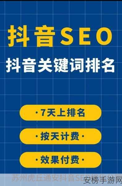 seo视频APP网页入口：SEO优化视频播放平台