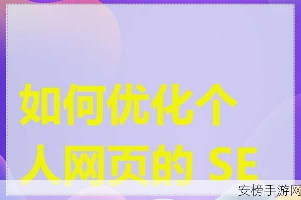 seo视频APP网页入口：SEO优化视频播放平台