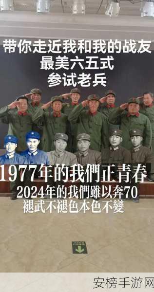 招回老兵2024：归来：老兵的新征程2024