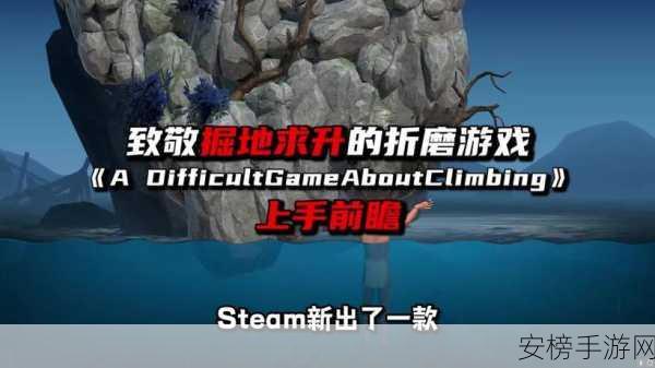 掘地求升steam多少钱：Steam版《掘地求升》价格查询指南