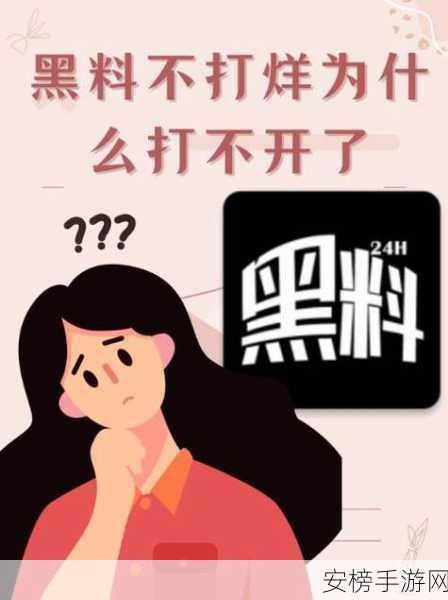 黑料不打烊官网：私密资源分享平台