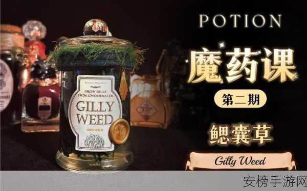 哈利波特手游深度揭秘，魔药配方大全及其神奇作用