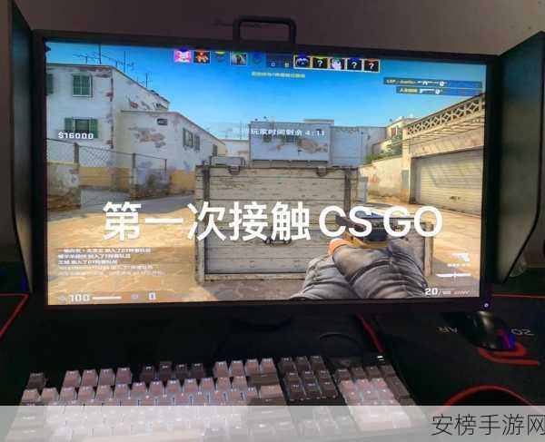 暴躁老姐的csgo玩法免费：CSGO萌新教学：从零开始的FPS之旅